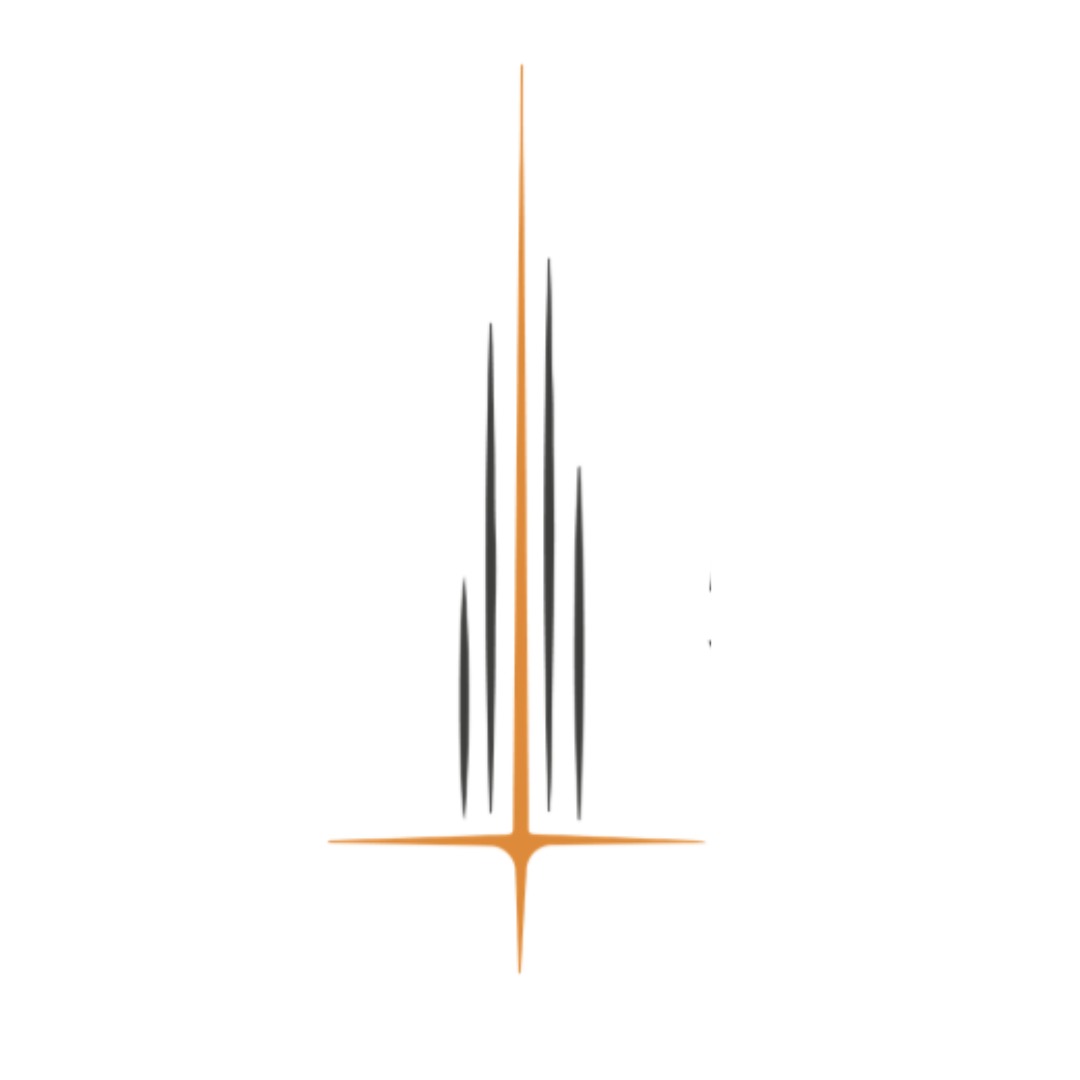 modularvision
